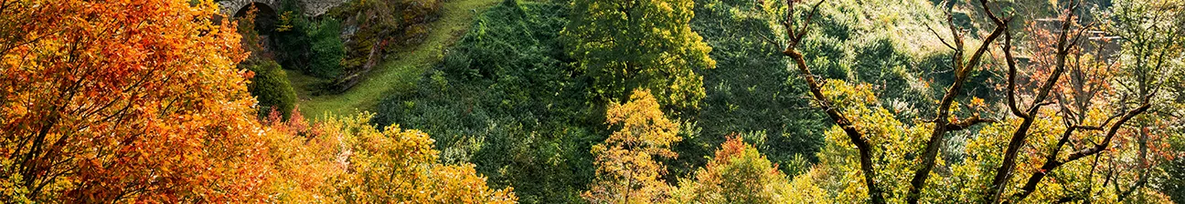 Bild von koblenz